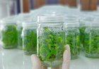 Sheel Biotech Limited: Premier Cold Storage Solutions in Kalkaji, New Delhi
