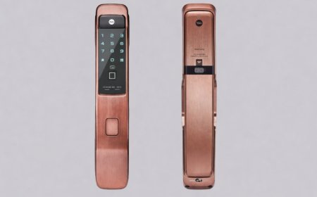 Immersive Technologies: Complete Hotel and Restaurant AV Solutions Provider in Delhi NCR