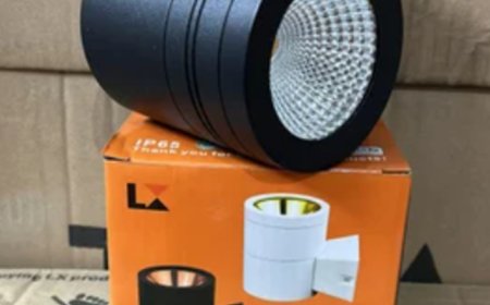 Gyanis LED: Energy-Efficient LED Lighting Solutions for Hotels in Chandni Chowk, Delhi