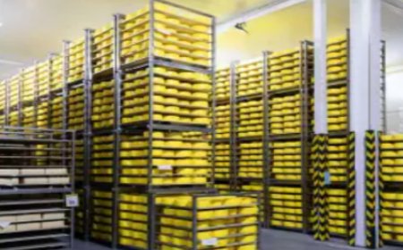 Siddhi Cold Chain: Excellence in Temperature-Controlled Warehousing Solutions