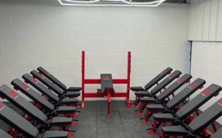 Universal Gym Fitness Equipments — Premier Gym & Fitness Equipment Supplier in Uttam Nagar, New Delhi