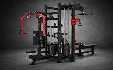 Wellness Gym — Trusted Commercial Gym Equipment Manufacturer & Supplier in Ghitorni, New Delhi