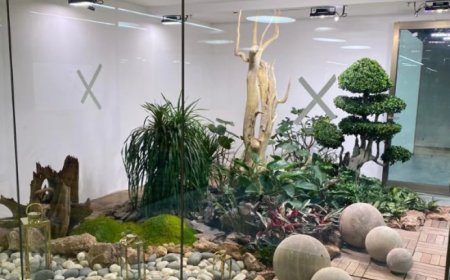 Wings Bird Landscape Private Limited — A Trusted Landscape Design, Plant Export & Green Space Solutions Provider from New Delhi